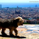 panoramica barcelona bunker